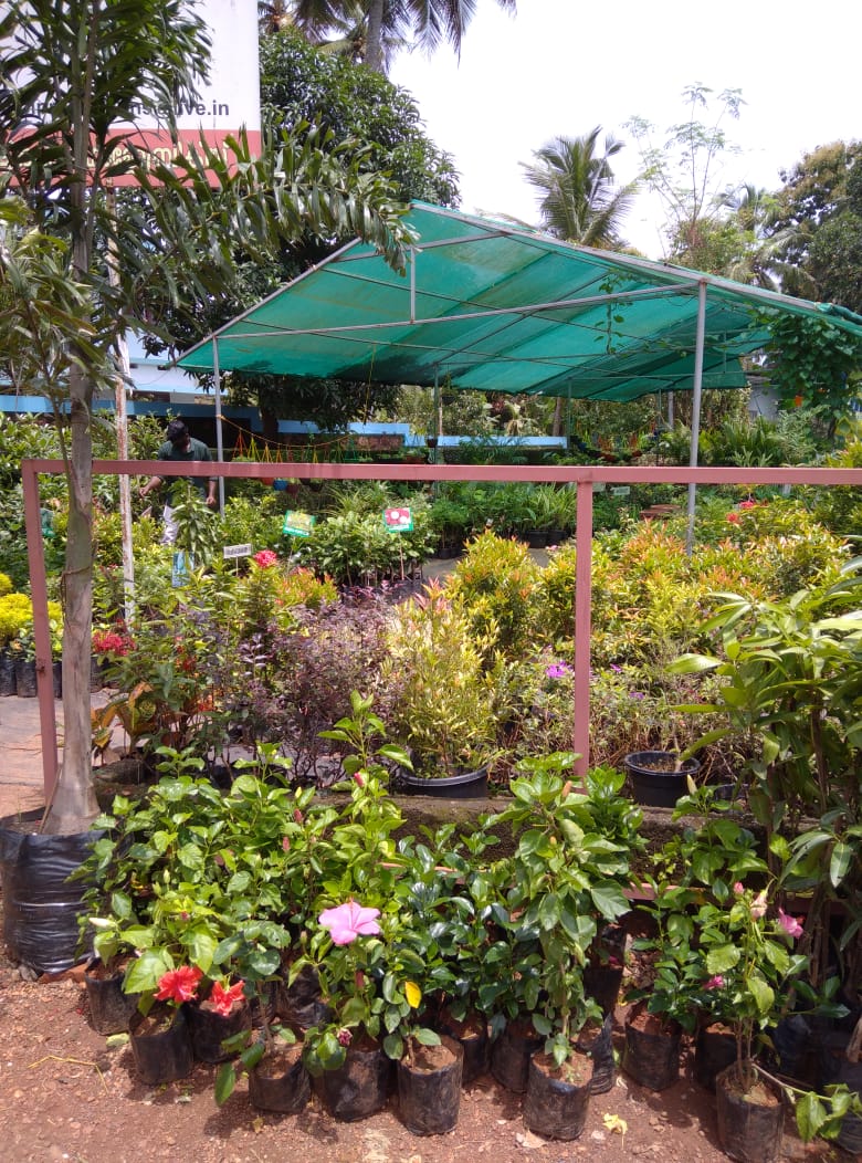 Malabar Gardens& Landscaping(ELEYAVOOR)