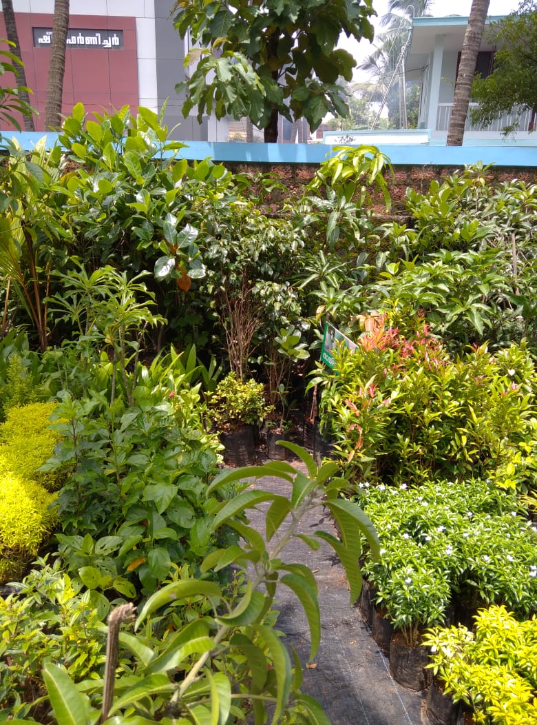 Malabar Gardens& Landscaping(ELEYAVOOR)