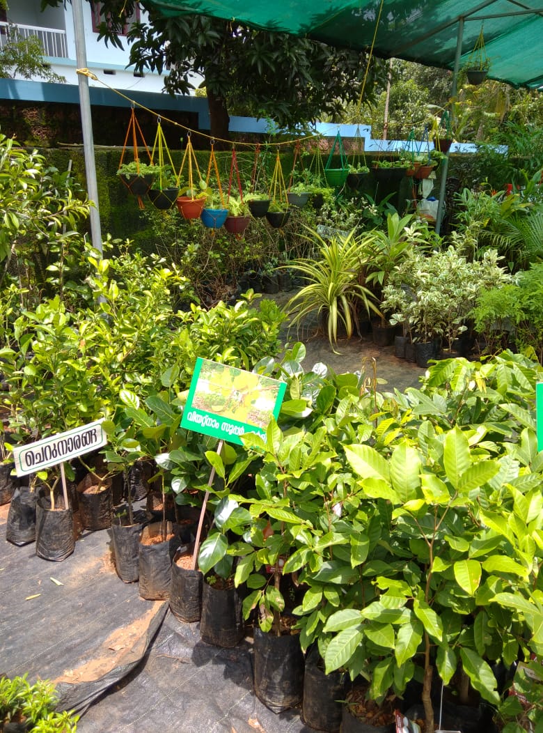 Malabar Gardens& Landscaping(ELEYAVOOR)