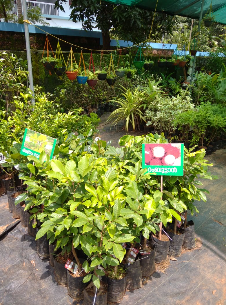 Malabar Gardens& Landscaping(ELEYAVOOR)